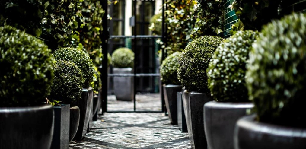 Hotel Monsieur Georges
